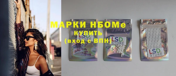 шишки Новозыбков