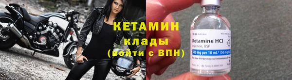 шишки Новозыбков