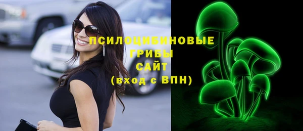 шишки Новозыбков