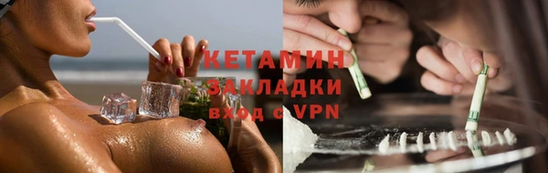 шишки Новозыбков