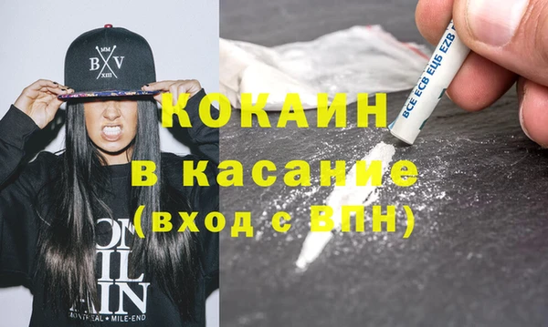 шишки Новозыбков