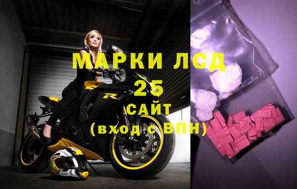 шишки Новозыбков