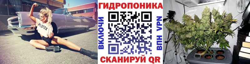 где продают наркотики  Усолье  omg ссылка  Марихуана THC 21% 